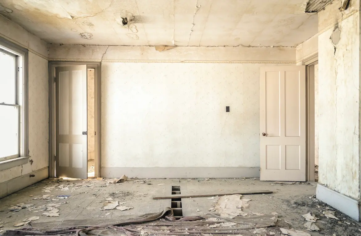 Waste disposal crew managing a cleanout project in Mussey